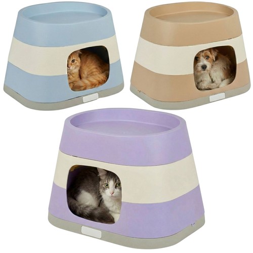 Dog cat pet home kitten - dog,