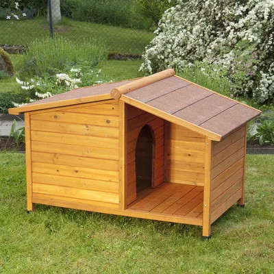 Spike special dog - special, kennel