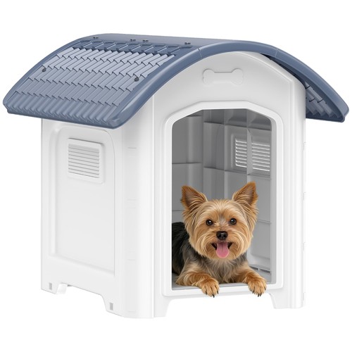 Dog kennel outdoor - dog,