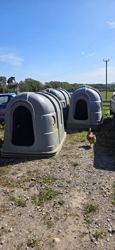 Calf hutches - calf,