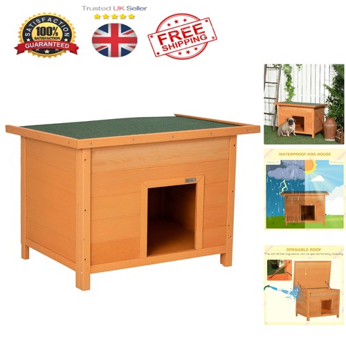 Classic pine wood - wood, dog