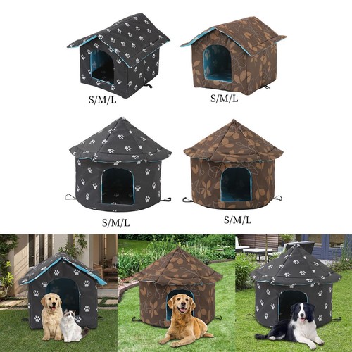 Outdoor feral cats warm house - cats,