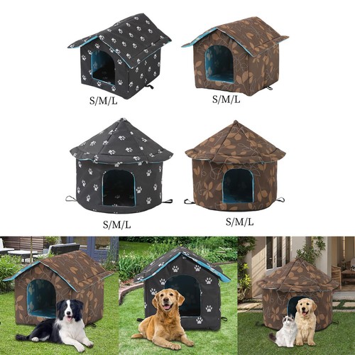 Outdoor feral cats warm house - outdoor,