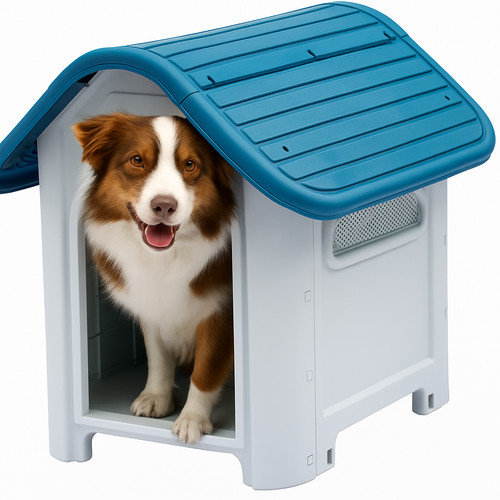 Plastic dog pet kennel - dog, house